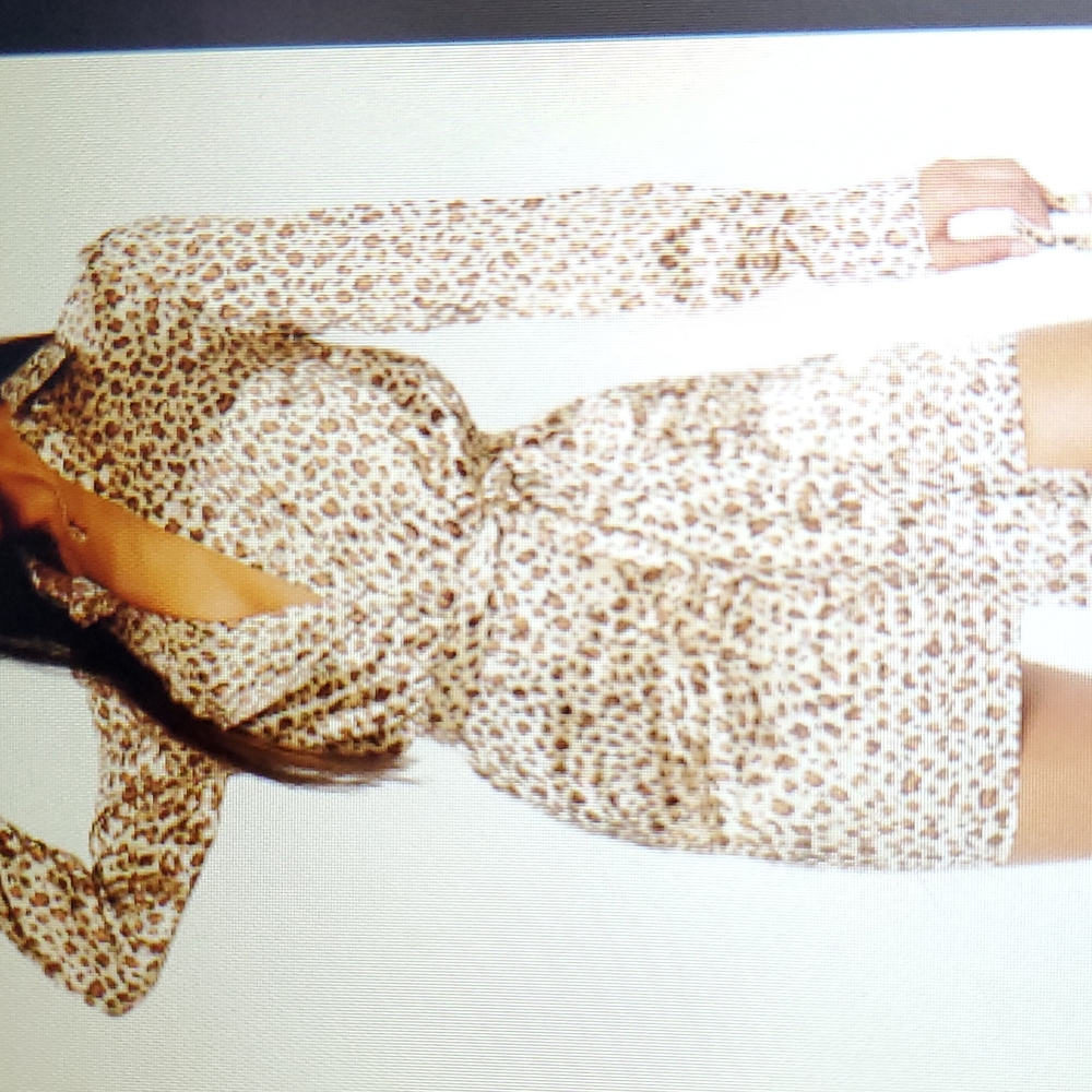 SZ.6 LADIE'S PRETTY LITTLE THING BEIGE LEOPARD 🐆 SATIN RAUCHED SHIRT DRE